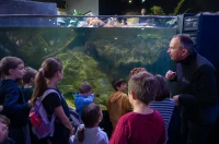 20251019 Slatkovodni akvarij Aquatika (foto Grad Karlovac) 04