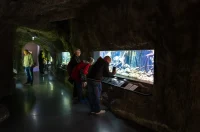 20251019 Slatkovodni akvarij Aquatika (foto Grad Karlovac) 10