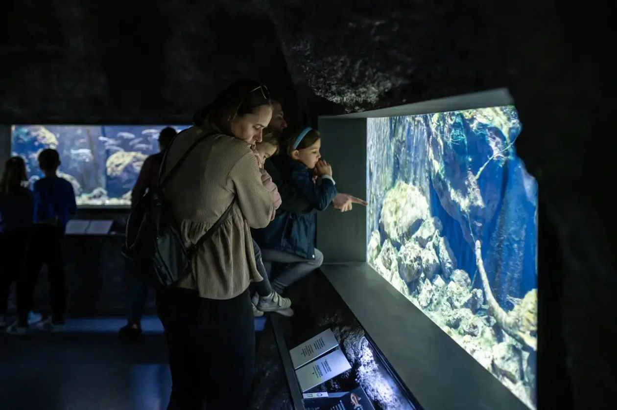 20251019 Slatkovodni akvarij Aquatika (foto Grad Karlovac) 11