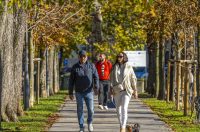 20251024 karlovačkim ulicama (11) 20251024 karlovačkim ulicama (11)