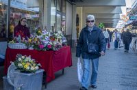 20251024 karlovačkim ulicama (2) 20251024 karlovačkim ulicama (2)