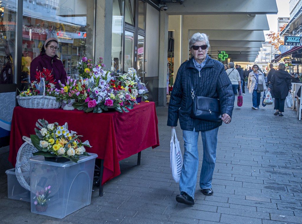 20251024 karlovačkim ulicama (2) 20251024 karlovačkim ulicama (2)