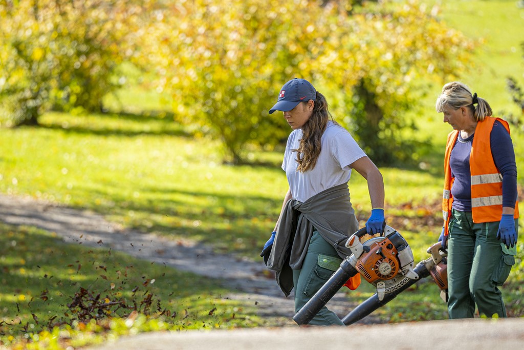 20251024 karlovačkim ulicama (29) 20251024 karlovačkim ulicama (29)