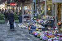 20251024 karlovačkim ulicama (3) 20251024 karlovačkim ulicama (3)