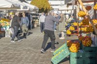 20251024 karlovačkim ulicama (39) 20251024 karlovačkim ulicama (39)