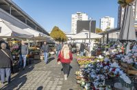 20251024 karlovačkim ulicama (40) 20251024 karlovačkim ulicama (40)