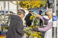 20251024 karlovačkim ulicama (41) 20251024 karlovačkim ulicama (41)