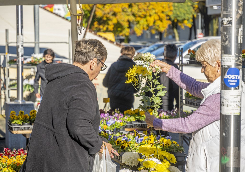 20251024 karlovačkim ulicama (41) 20251024 karlovačkim ulicama (41)