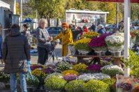 20251024 karlovačkim ulicama (5) 20251024 karlovačkim ulicama (5)