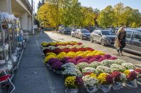 20251024 karlovačkim ulicama (7) 20251024 karlovačkim ulicama (7)