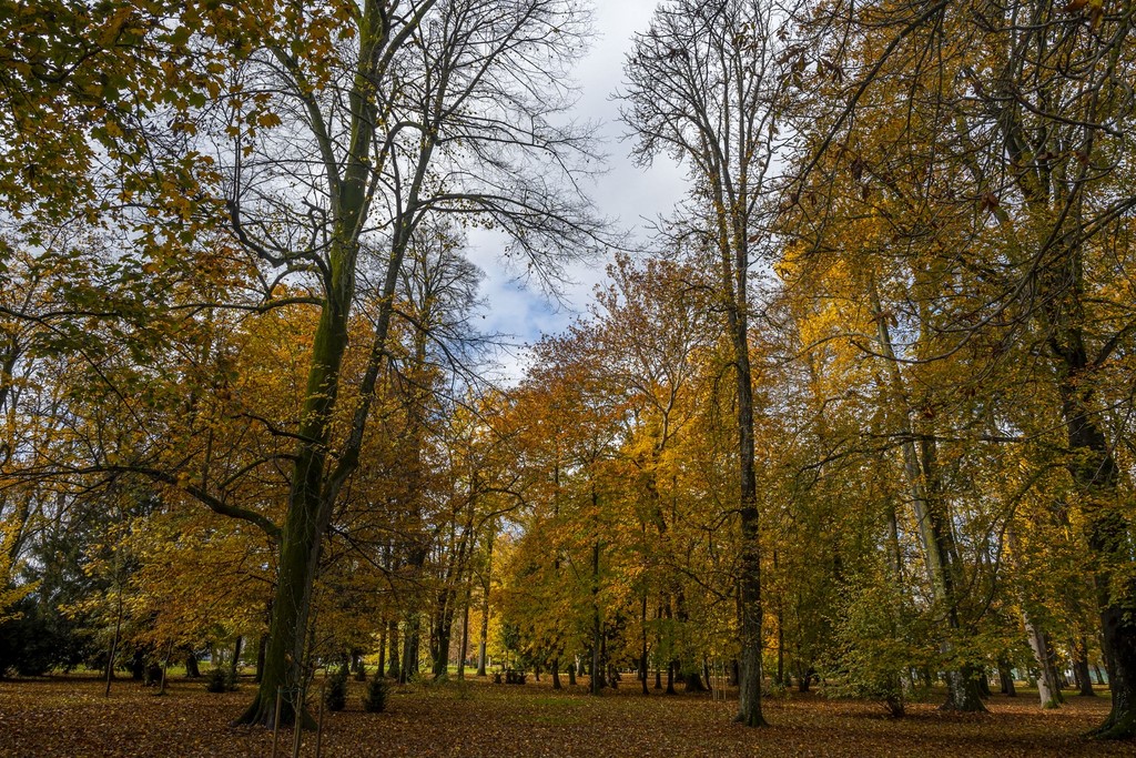 20251027 Karlovačkim ulicama (10) 20251027 Karlovačkim ulicama (10)