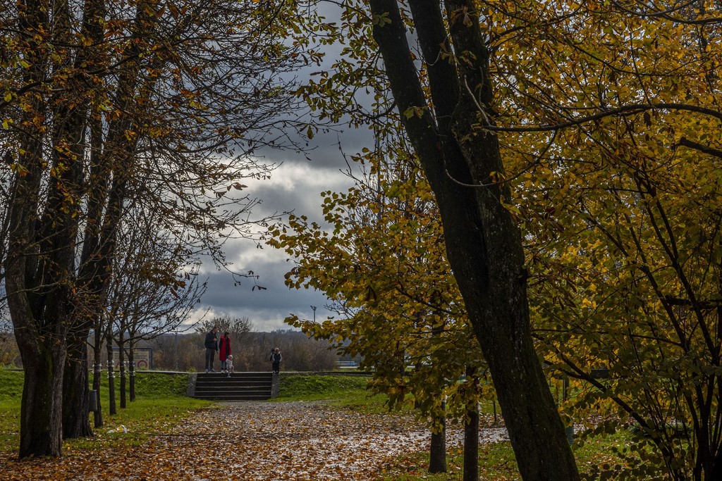 20251027 Karlovačkim ulicama (11) 20251027 Karlovačkim ulicama (11)