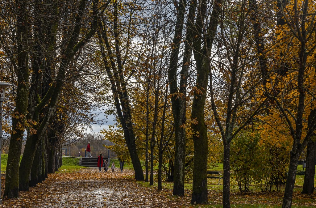 20251027 Karlovačkim ulicama (12) 20251027 Karlovačkim ulicama (12)