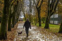 20251027 Karlovačkim ulicama (13) 20251027 Karlovačkim ulicama (13)