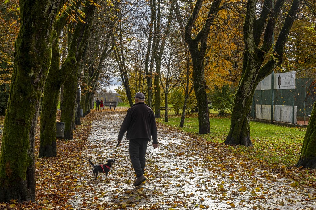 20251027 Karlovačkim ulicama (13) 20251027 Karlovačkim ulicama (13)