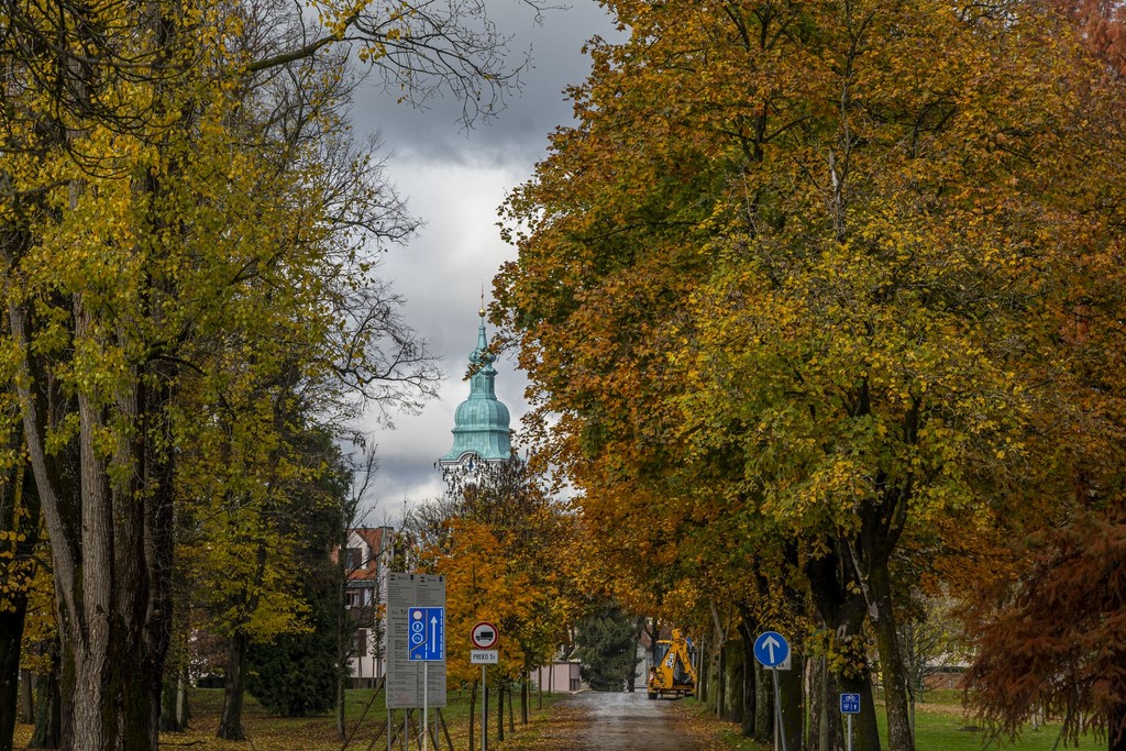 20251027 Karlovačkim ulicama (14) 20251027 Karlovačkim ulicama (14)