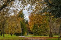 20251027 Karlovačkim ulicama (16) 20251027 Karlovačkim ulicama (16)