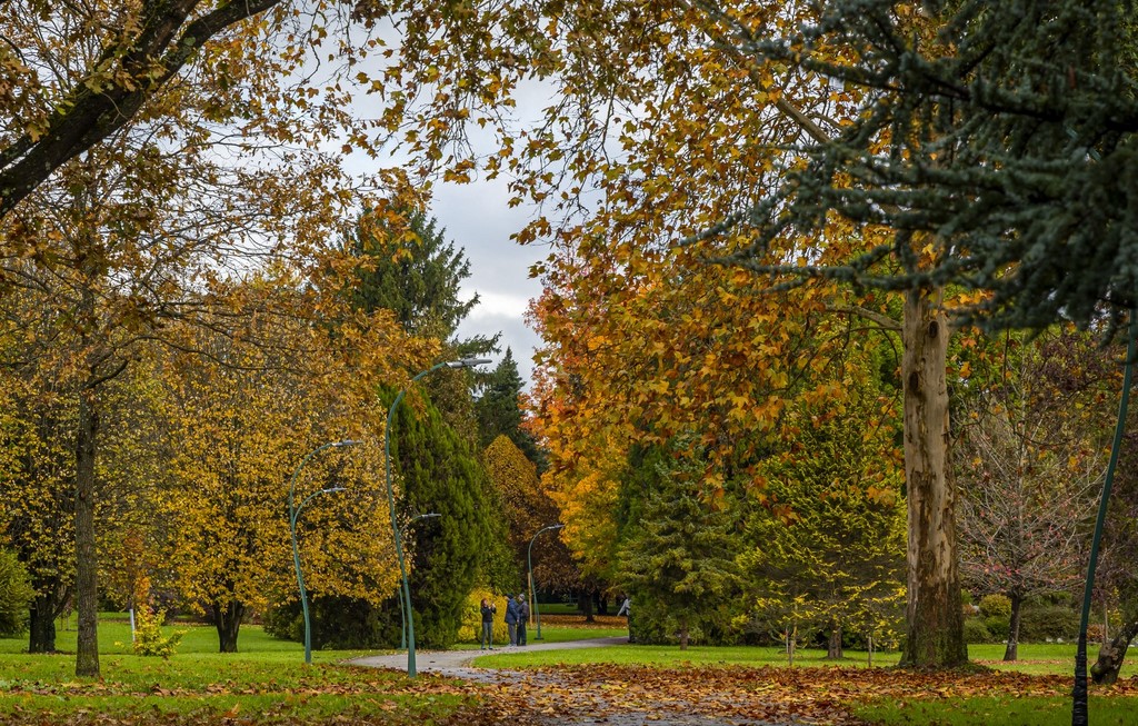 20251027 Karlovačkim ulicama (16) 20251027 Karlovačkim ulicama (16)