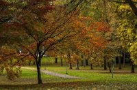 20251027 Karlovačkim ulicama (17) 20251027 Karlovačkim ulicama (17)