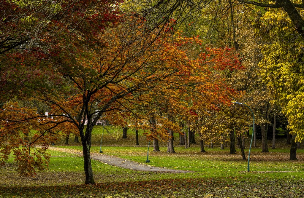 20251027 Karlovačkim ulicama (17) 20251027 Karlovačkim ulicama (17)