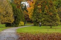 20251027 Karlovačkim ulicama (18) 20251027 Karlovačkim ulicama (18)