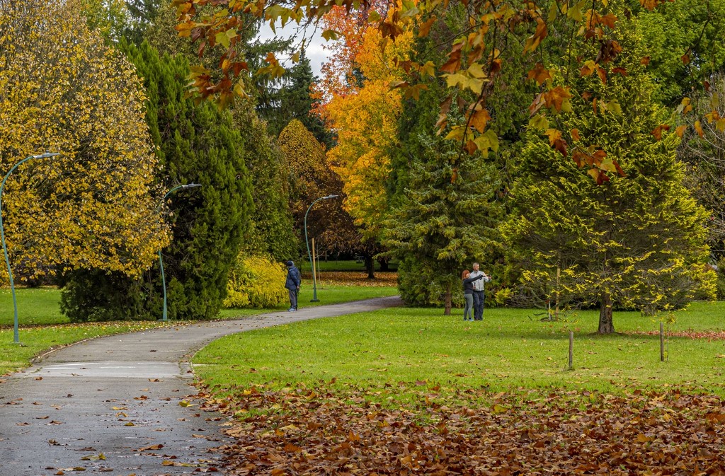 20251027 Karlovačkim ulicama (18) 20251027 Karlovačkim ulicama (18)