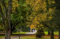 20251027 Karlovačkim ulicama (20) 20251027 Karlovačkim ulicama (20)