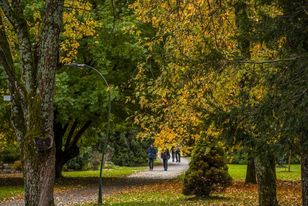 20251027 Karlovačkim ulicama (20) 20251027 Karlovačkim ulicama (20)