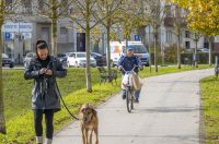 20251027 Karlovačkim ulicama (21) 20251027 Karlovačkim ulicama (21)