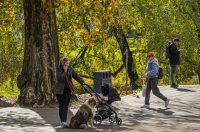 20251027 Karlovačkim ulicama (24) 20251027 Karlovačkim ulicama (24)