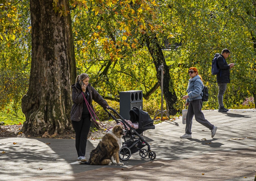 20251027 Karlovačkim ulicama (24) 20251027 Karlovačkim ulicama (24)