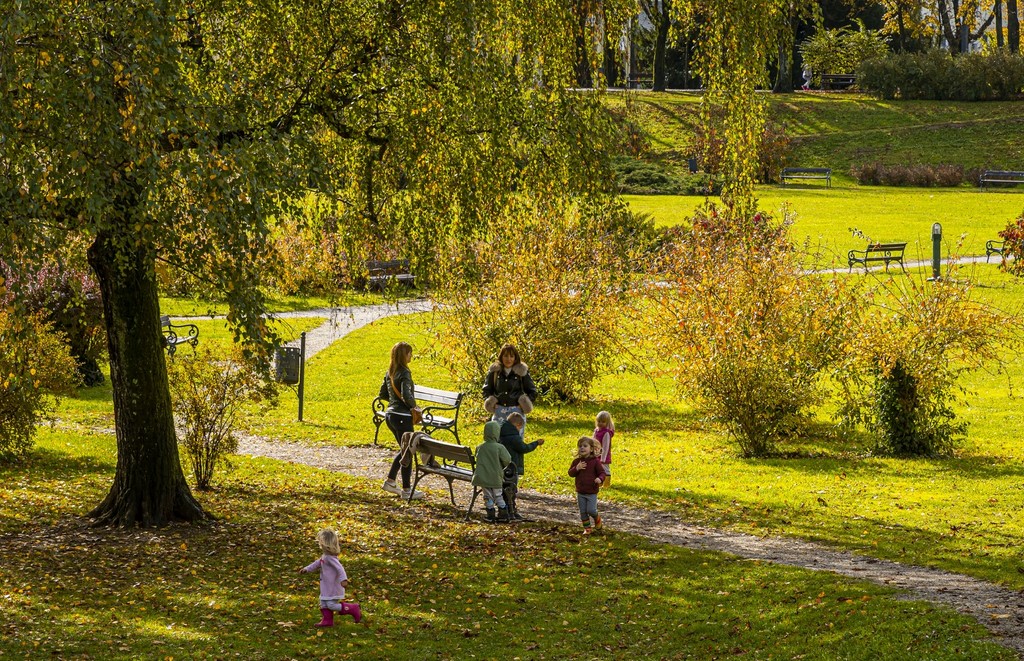 20251027 Karlovačkim ulicama (28) 20251027 Karlovačkim ulicama (28)