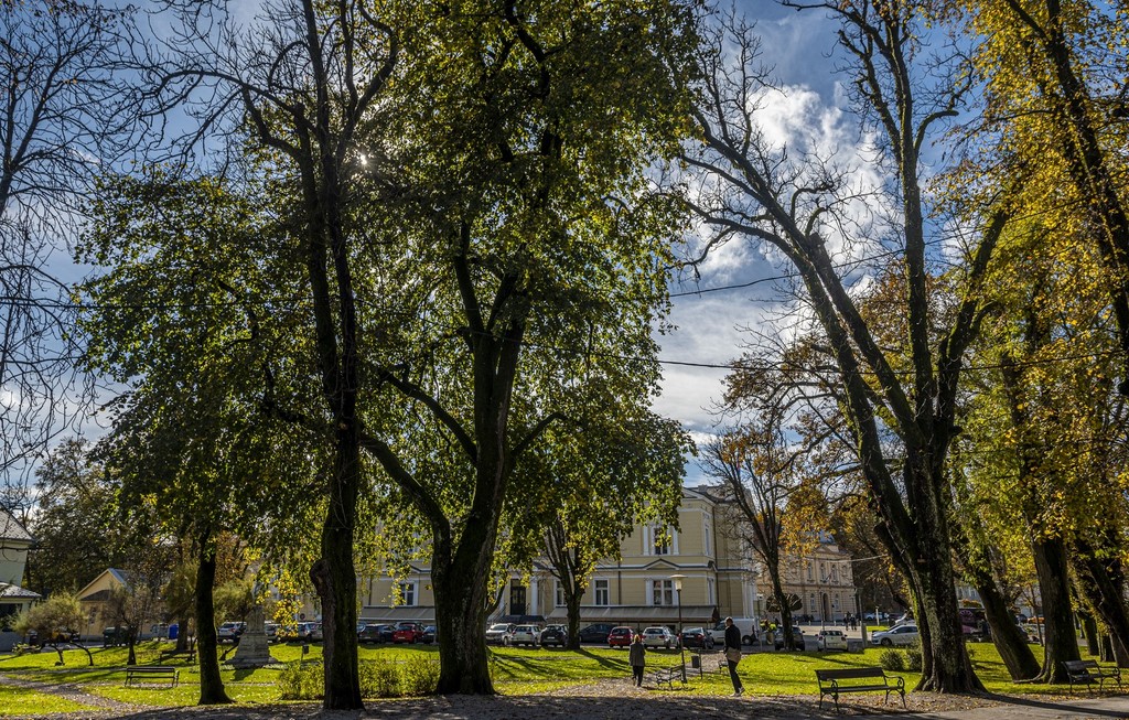 20251027 Karlovačkim ulicama (38) 20251027 Karlovačkim ulicama (38)