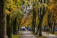 20251027 Karlovačkim ulicama (39) 20251027 Karlovačkim ulicama (39)