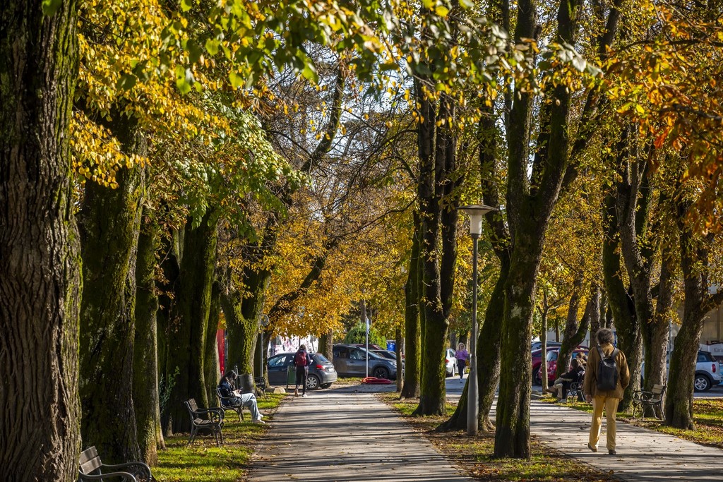 20251027 Karlovačkim ulicama (39) 20251027 Karlovačkim ulicama (39)