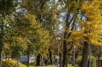 20251027 Karlovačkim ulicama (40) 20251027 Karlovačkim ulicama (40)