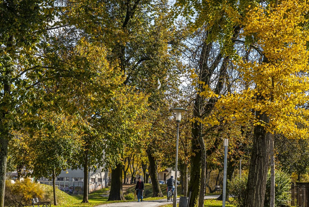 20251027 Karlovačkim ulicama (40) 20251027 Karlovačkim ulicama (40)