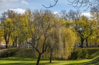 20251027 Karlovačkim ulicama (41) 20251027 Karlovačkim ulicama (41)