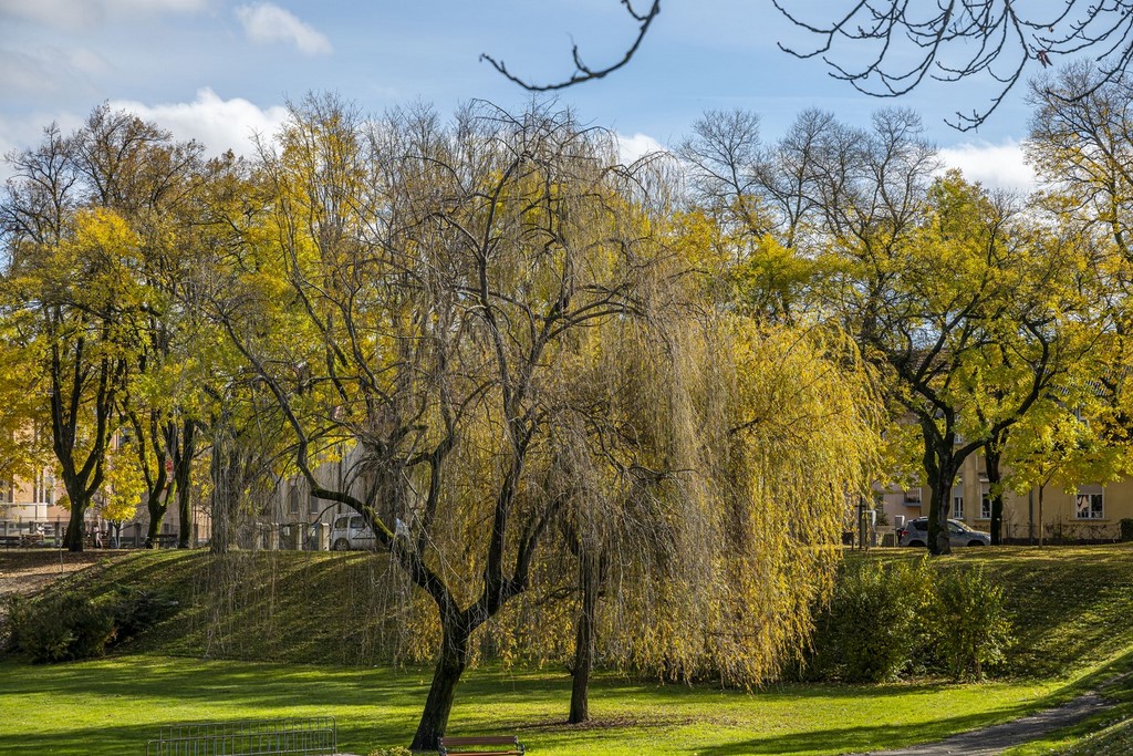 20251027 Karlovačkim ulicama (41) 20251027 Karlovačkim ulicama (41)