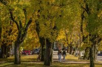 20251027 Karlovačkim ulicama (42) 20251027 Karlovačkim ulicama (42)