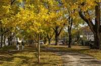 20251027 Karlovačkim ulicama (43) 20251027 Karlovačkim ulicama (43)