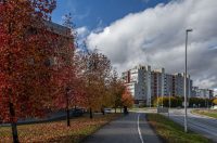 20251027 Karlovačkim ulicama (44) 20251027 Karlovačkim ulicama (44)