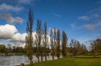 20251027 Karlovačkim ulicama (7) 20251027 Karlovačkim ulicama (7)