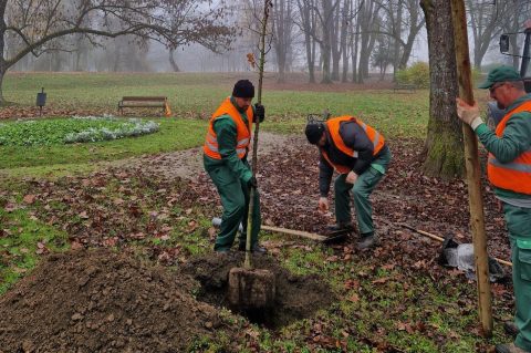 20251111_083329_Visit Karlovac