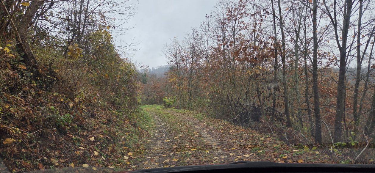 20251119 Sparednjak 01