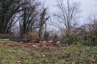 20251119 Sparednjak 02