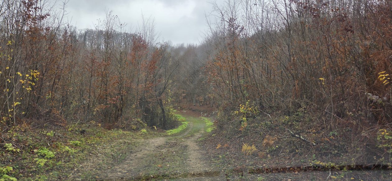 20251119 Sparednjak 03