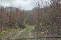 20251119 Sparednjak 03