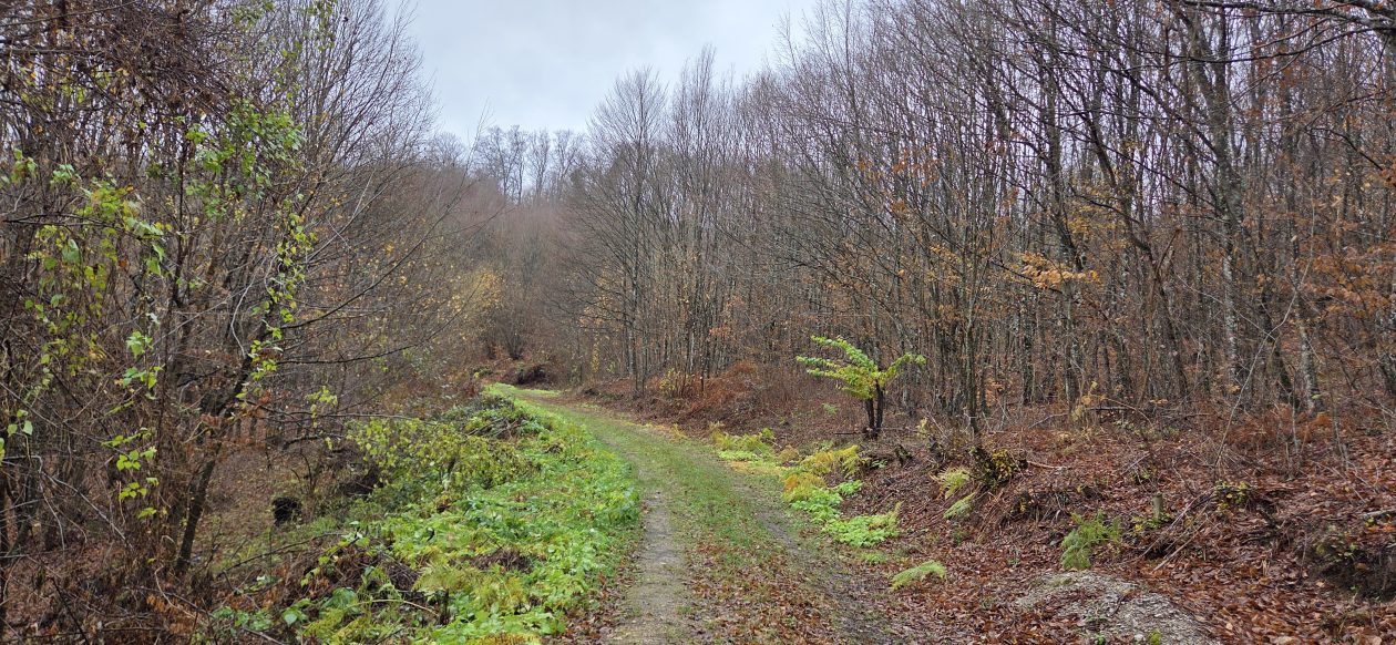 20251119 Sparednjak 04