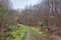 20251119 Sparednjak 04